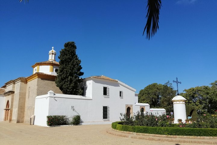 Discover the historic charm of the Monastery of Santa María de la Rábida where Columbus prepared for his groundbreaking voyage surrounded by serene gardens and rich heritage.