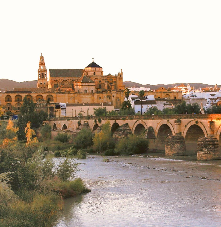 Córdoba and its Mosque: Full Day Tour from Granada - Photo 1 of 6