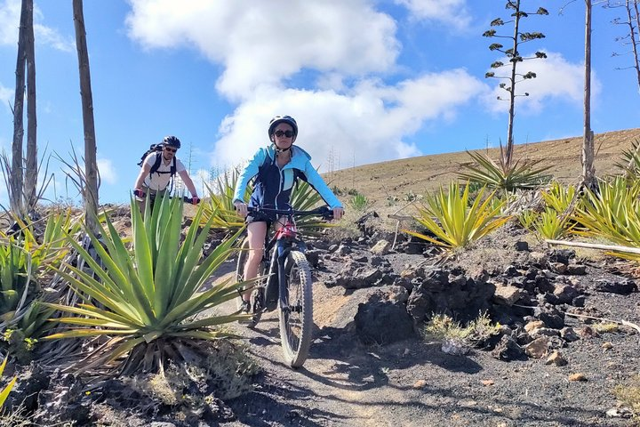Lanzarote E-Bike Tour: Volcano Craters & Scenic Vineyards - Photo 1 of 25