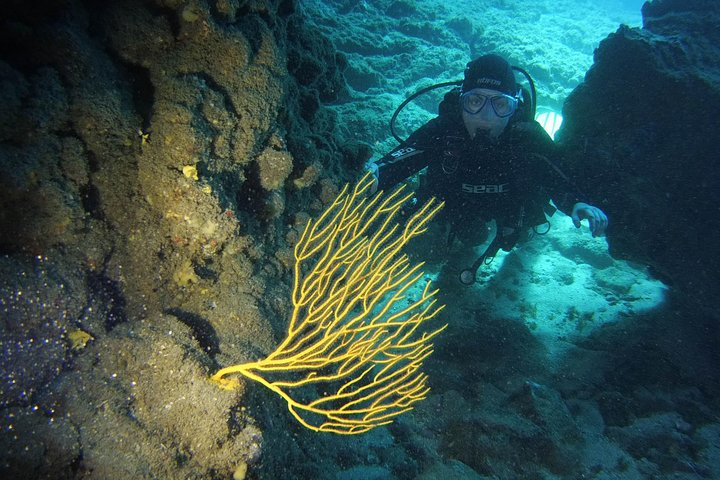 DISCOVER SCUBA DIVING - First step to your certification - Photo 1 of 8