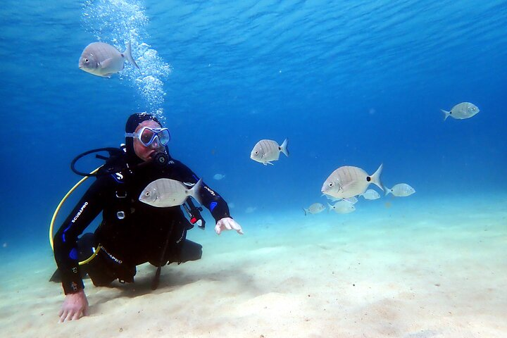 Discover Scuba Diving in Lanzarote (Costa Teguise) - Photo 1 of 15