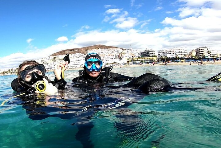 Discover the underwater world PHOTO AND VIDEO for free - Photo 1 of 9