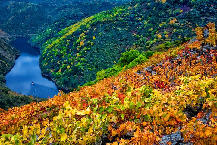 Discovering the Beauty of Ribeira Sacra: A Private Tour - Photo 1 of 10