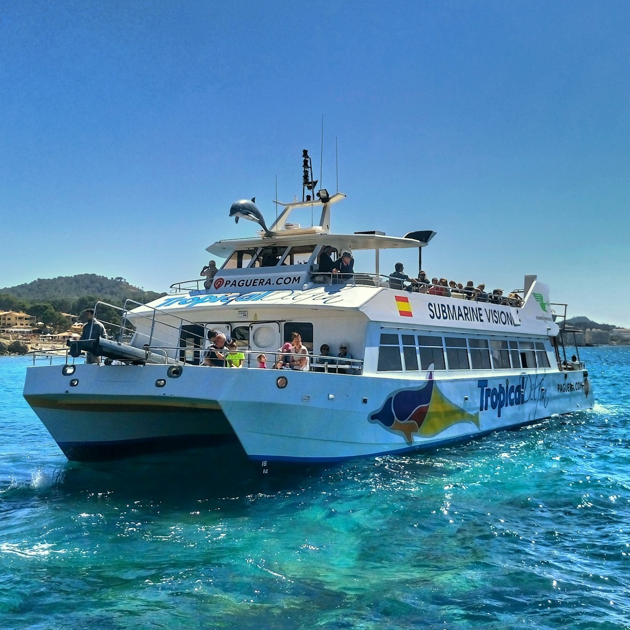 Santa Ponsa: 3-Hr Dolphin Watching Boat Excursion - Photo 1 of 10