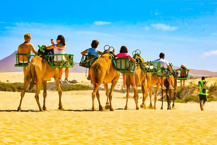 Came Safari on Maspalomas Dunes Gran Canaria