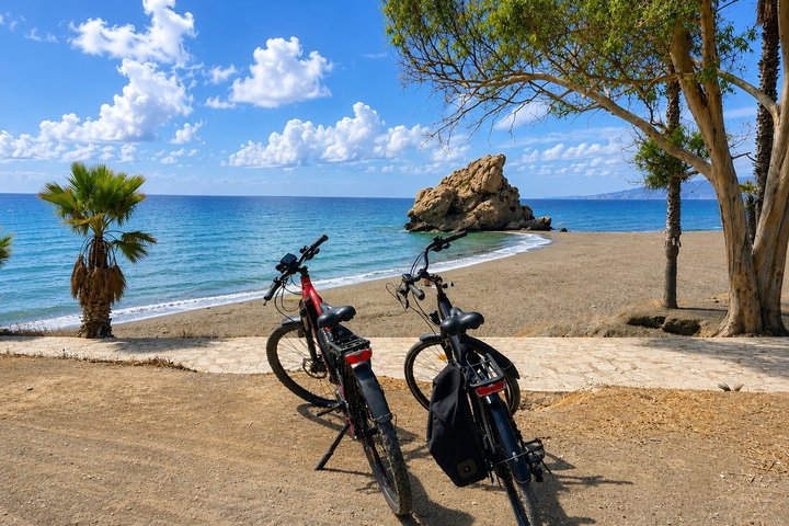 Malaga E-Bike Tour with Full-Day E-Bike Rental - Photo 1 of 25