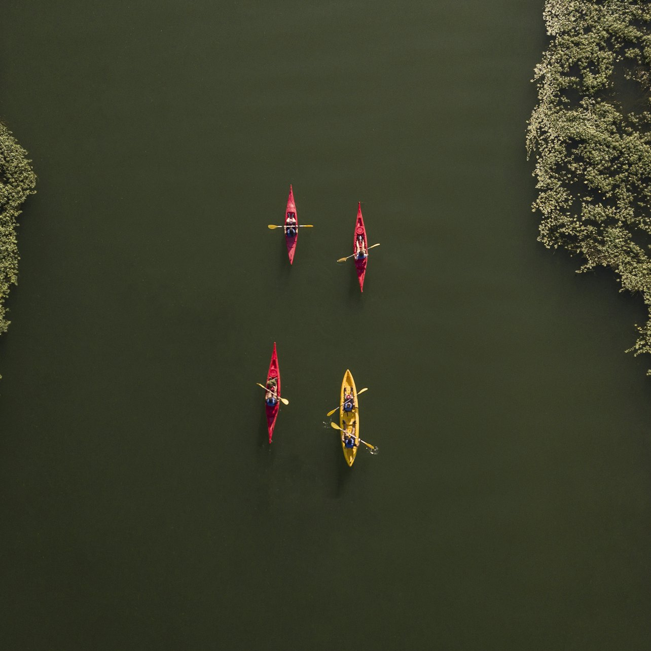 Ebro Delta: Kayak & Self-Guided Bike Excursion - Photo 1 of 6