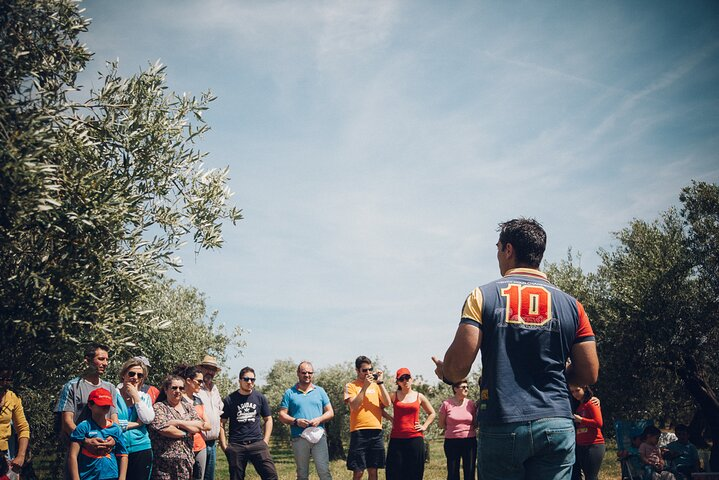 Ecological Olive Grove Tour with EVOO Tasting - Photo 1 of 6