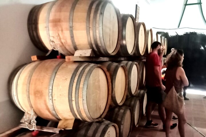 Ecological Tour of the Winery in Ronda with Tasting - Photo 1 of 7