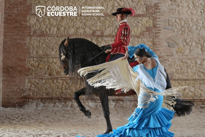 Equestrian Show 'Passion and Spirit of the Andalusian Horse' - Photo 1 of 5
