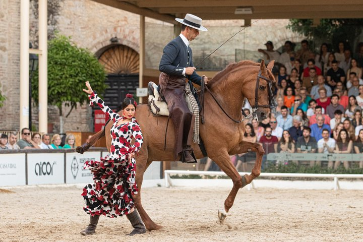 Equestrian Show Royal Stables of Córdoba - Photo 1 of 10