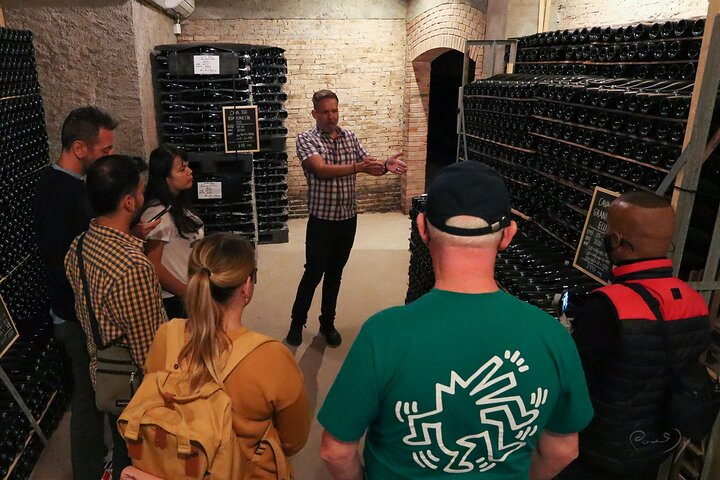 Tour guide Michael in action