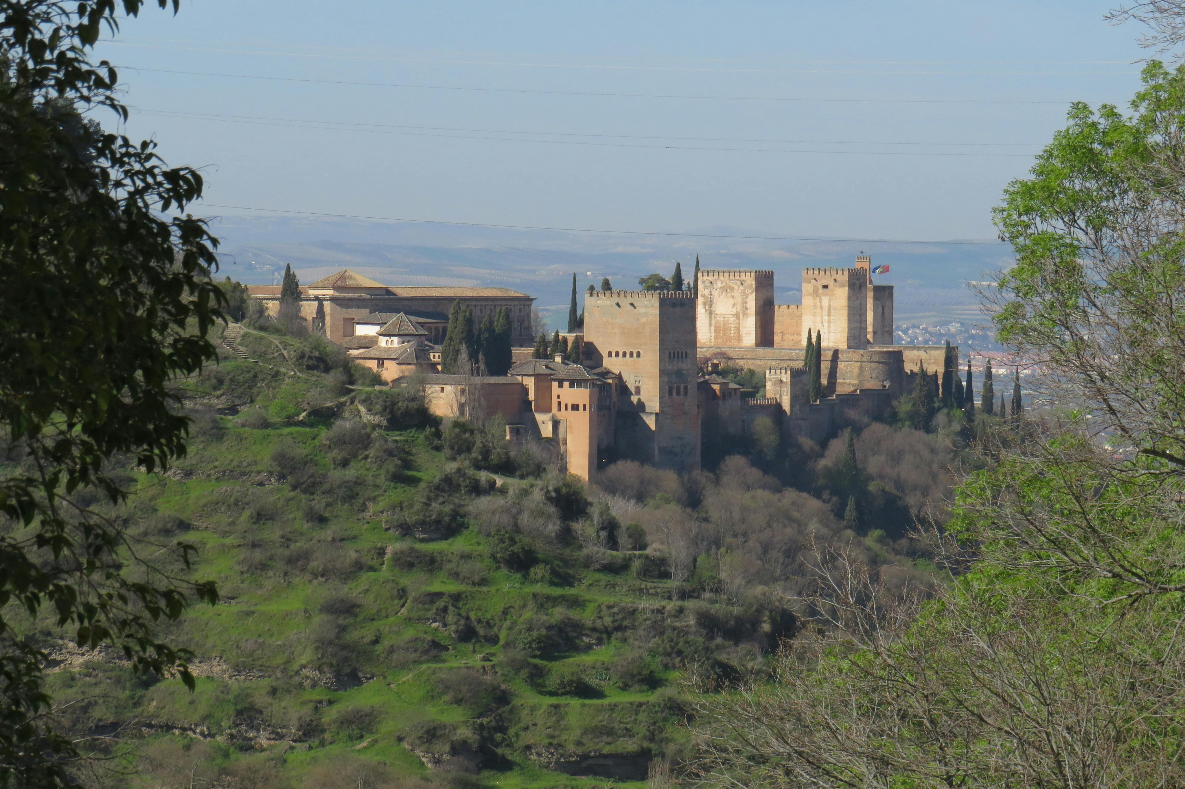 Alhambra & Nasrid Palaces: Skip The Line Ticket + Transport from Seville - Photo 1 of 4