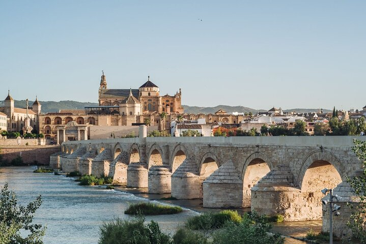 Excursion to Córdoba with tickets to the Mosque-Cathedral - Photo 1 of 7