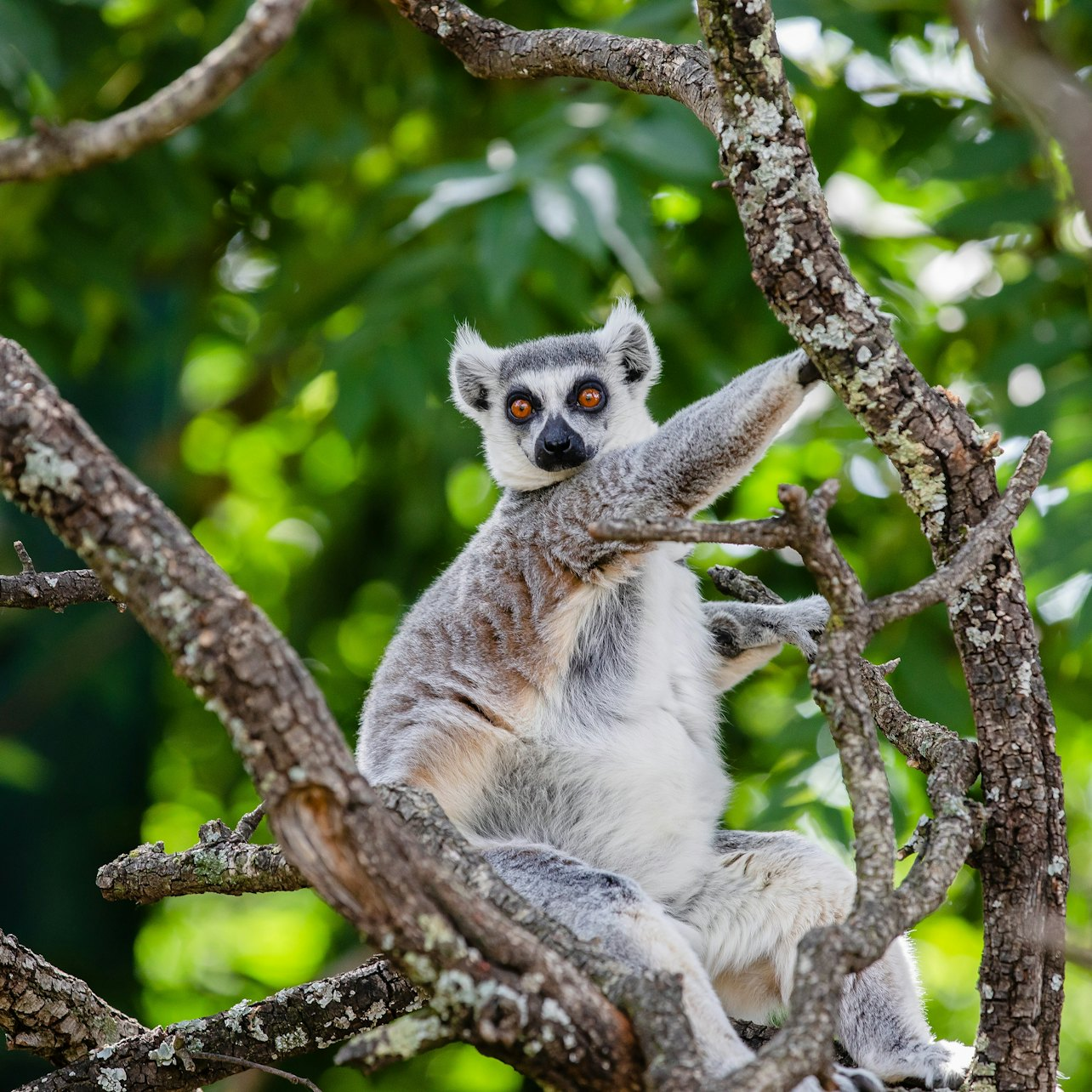 Faunia Nature Park: Entry Ticket - Photo 1 of 9