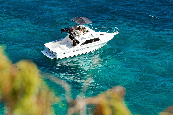 Fishing trip, Tenerife Sea Passion - Photo 1 of 25