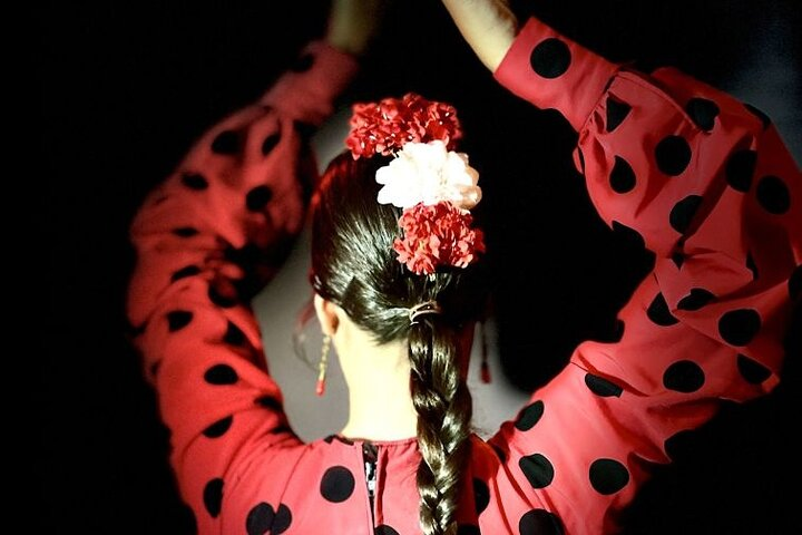 Flamenco show in the heart of Triana - Photo 1 of 12