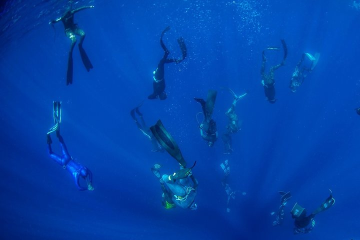 Freediving Courses - Photo 1 of 4