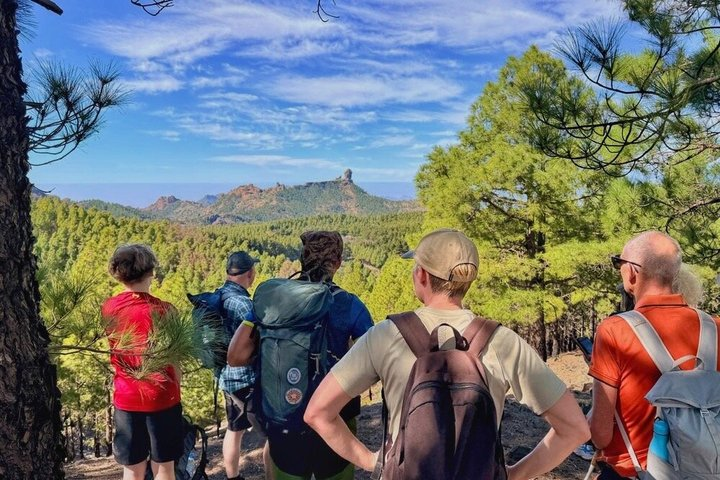 Full day Hiking Gran Canaria Peaks of Gran Canaria - Photo 1 of 17