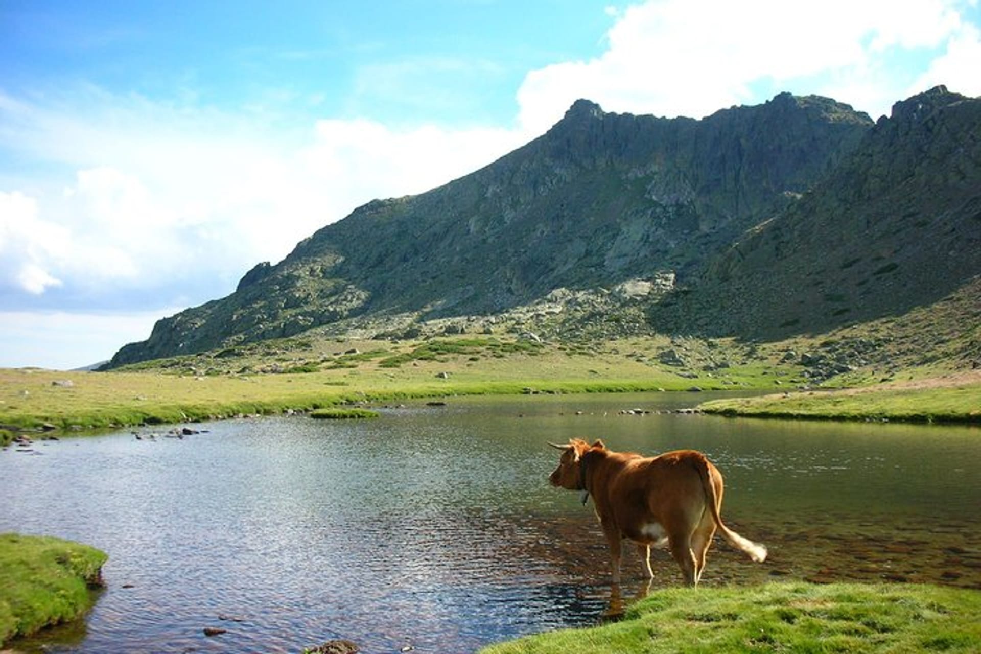 Full-Day Private Guided Tour to Guadarrama National Park in Madrid | Pelago