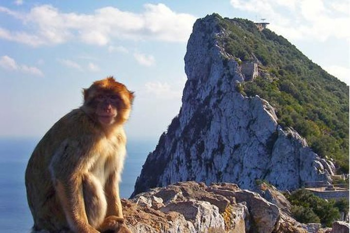 Experience the stunning landscapes of Gibraltar where playful monkeys greet you near the iconic Rock. Explore breathtaking views and uncover the unique charm of this historic destination.