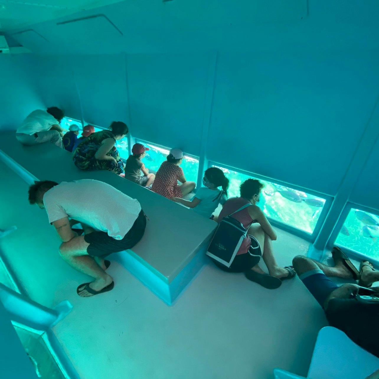 Cap Norfeu: 2.5-Hr Glass Bottom Boat Tour from Roses or Santa Margarita - Photo 1 of 12