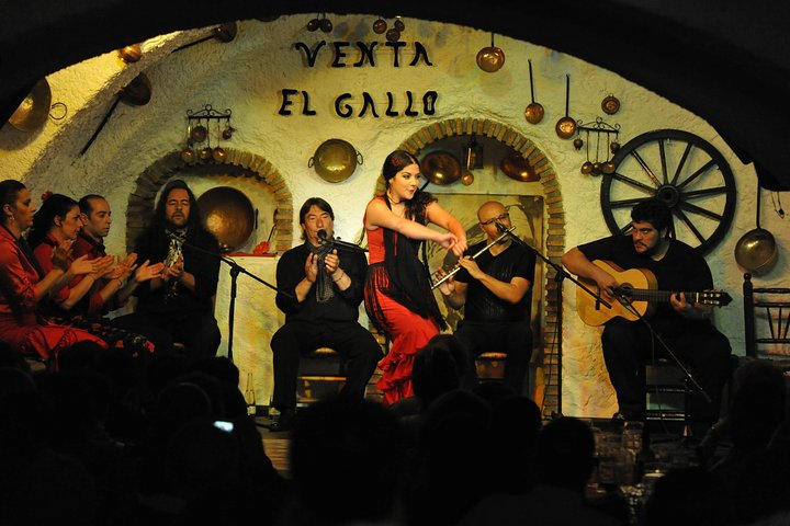 Granada day and night: Complete Alhambra and Flamenco Show in natural cave - Photo 1 of 3