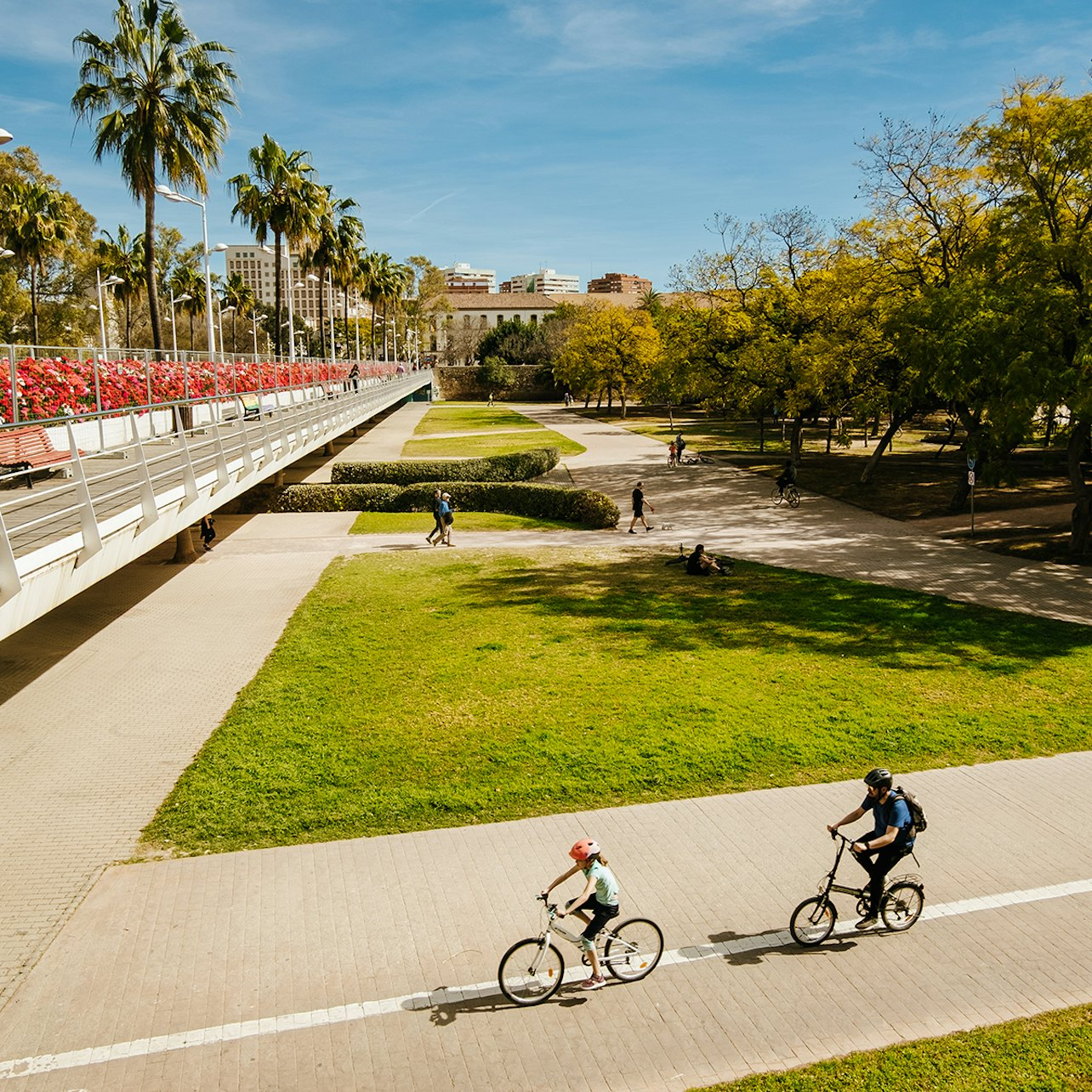 València: Grand City Private Guided Tour - Photo 1 of 11