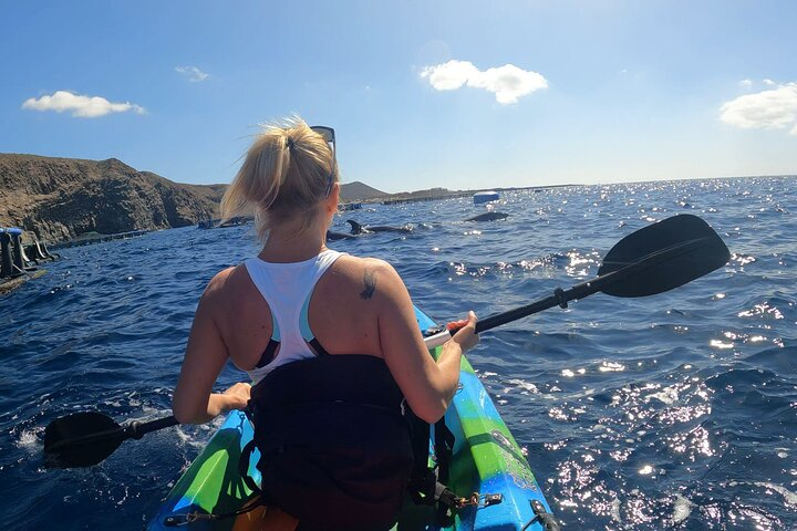 Guided Kayak Tour From Los Cristianos Beach Tenerife - Photo 1 of 25