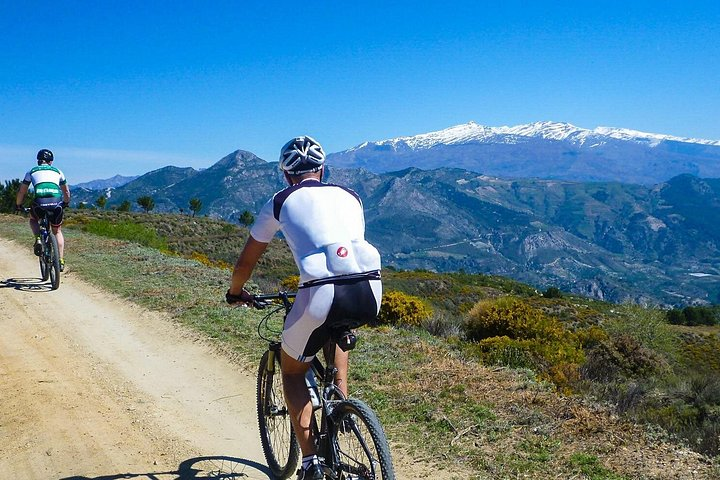 Next Level Cycling