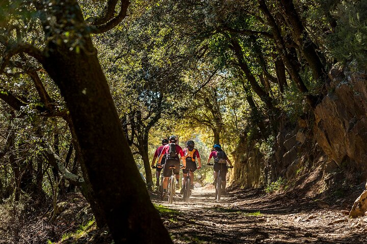 Guided Tour in E-mountainbike in Empordà - Photo 1 of 9