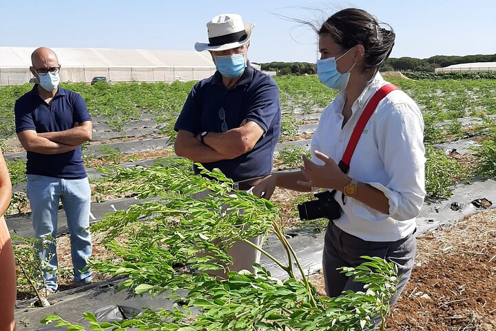 Healthy Eco-Finca and Pine Forest Experience - Photo 1 of 7