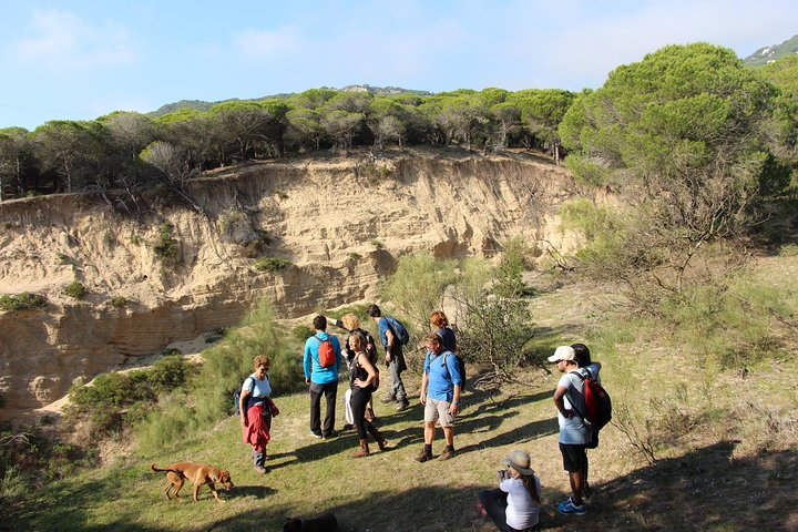 Hiking Costa de la Luz Betis, mountain to beach in Cadiz - Main Image