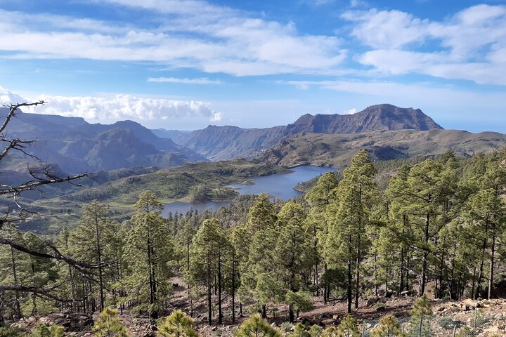 Hiking experience in the north of Gran Canaria - Photo 1 of 10