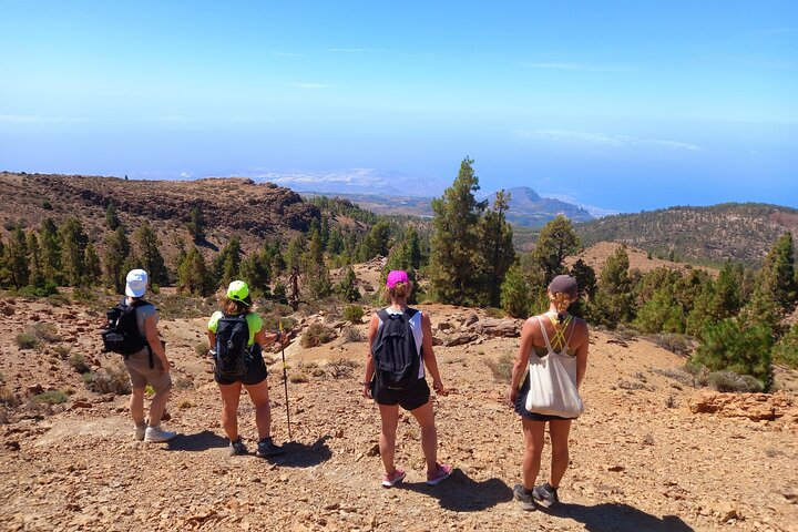Hiking in Tenerife's Great Outdoors - Photo 1 of 16
