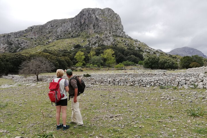 Hiking Private Tour in Pollensa - Photo 1 of 10