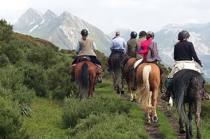 Horse Riding Madrid Natural Park - Photo 1 of 7