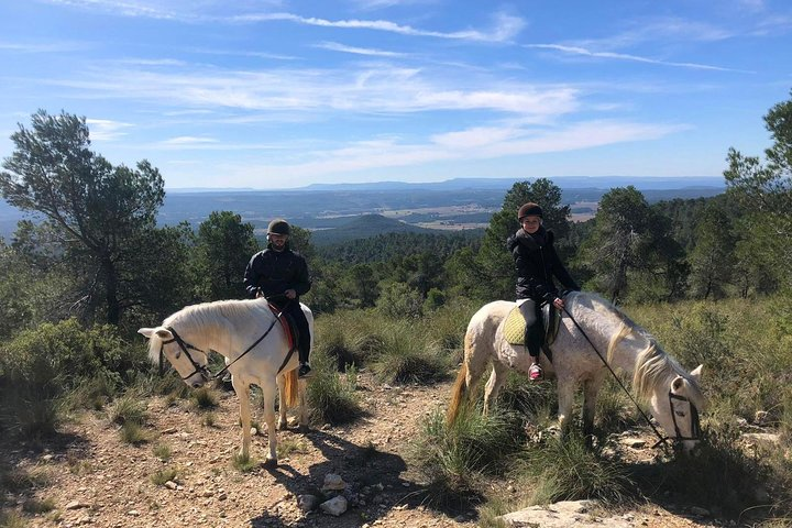 Horseback riding and wine tour (private tour) - Photo 1 of 6