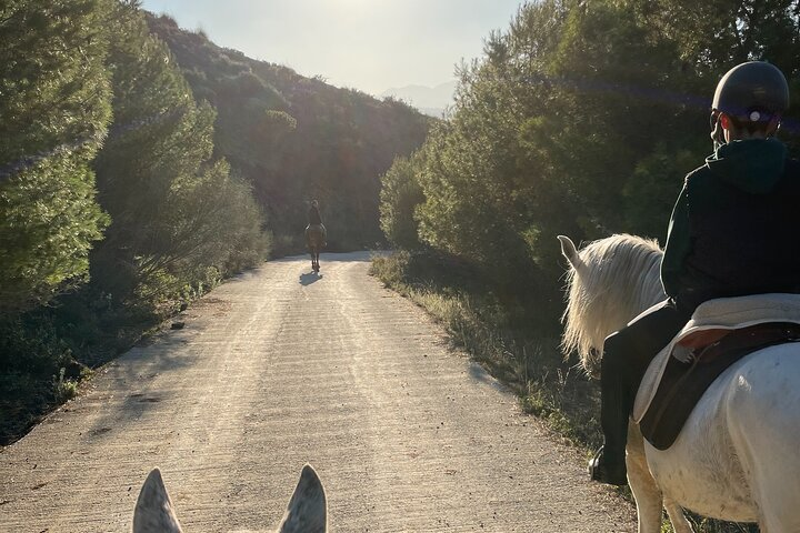 Malaga - guided horseback riding - Photo 1 of 8