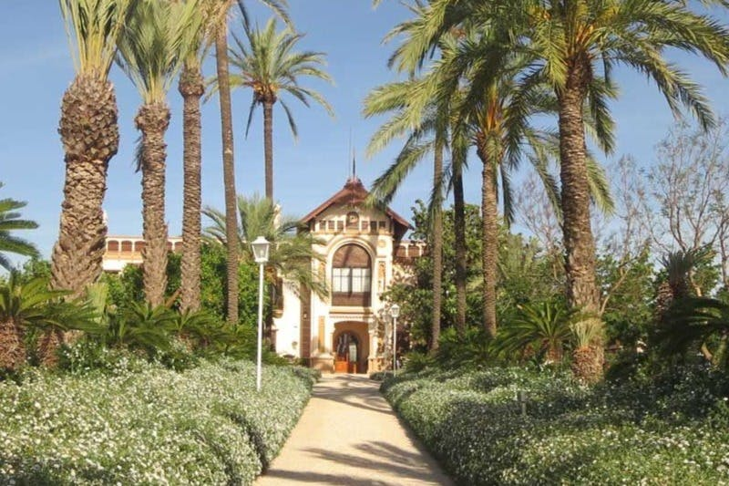 Huerto Ribera: Guided Orange Orchard Tour from Valencia + Food Tasting - Photo 1 of 6