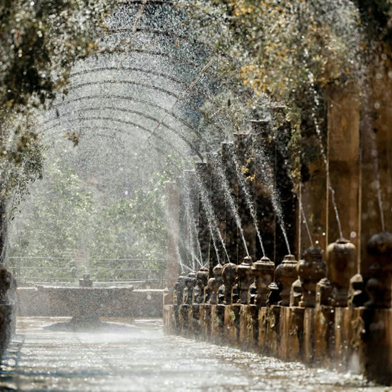 Jardines de Alfabia: Skip The Line Ticket - Photo 1 of 8