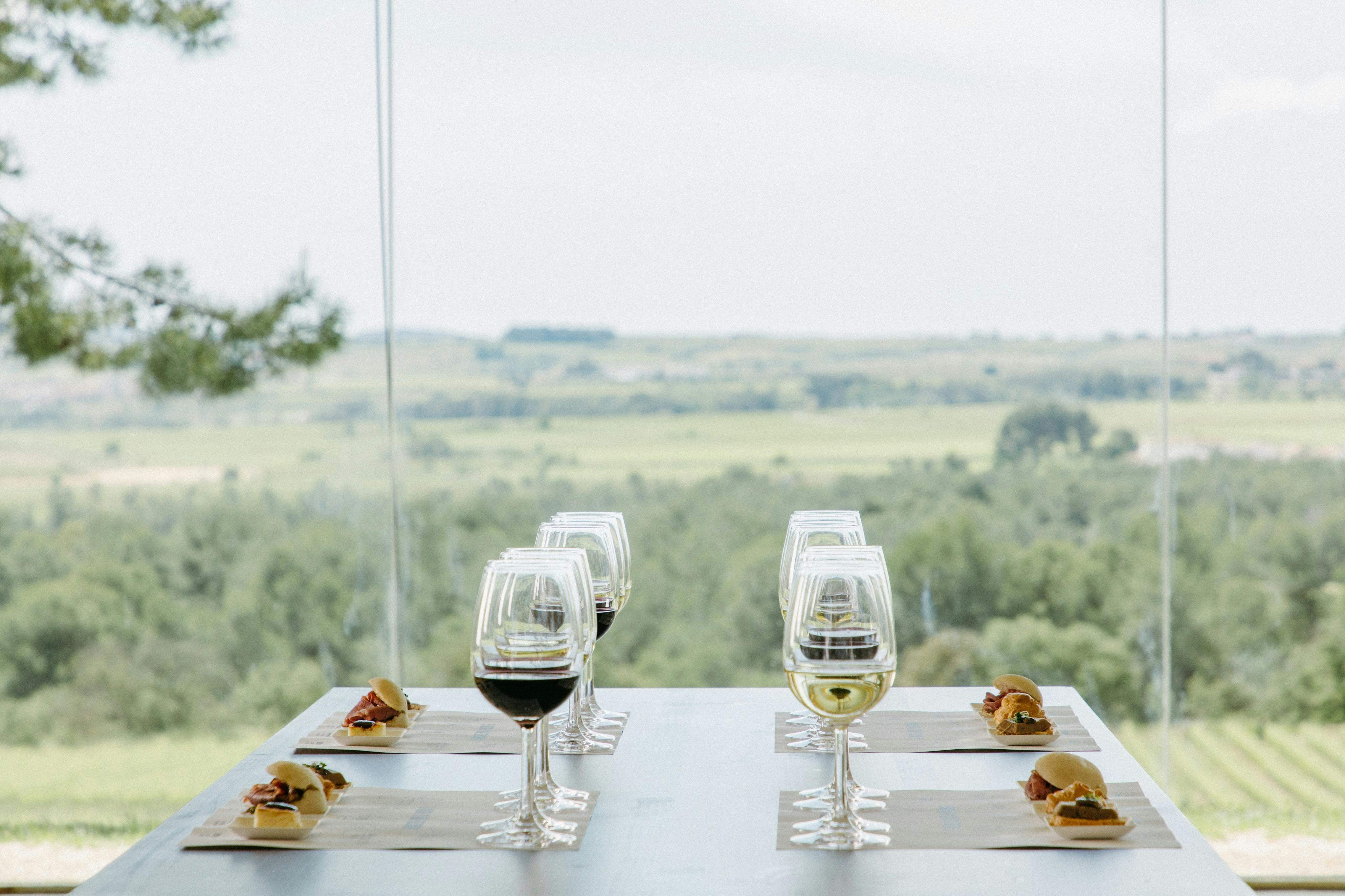 Jean Leon Winery: Guided Tour + Wine & Tapas Pairing - Photo 1 of 7