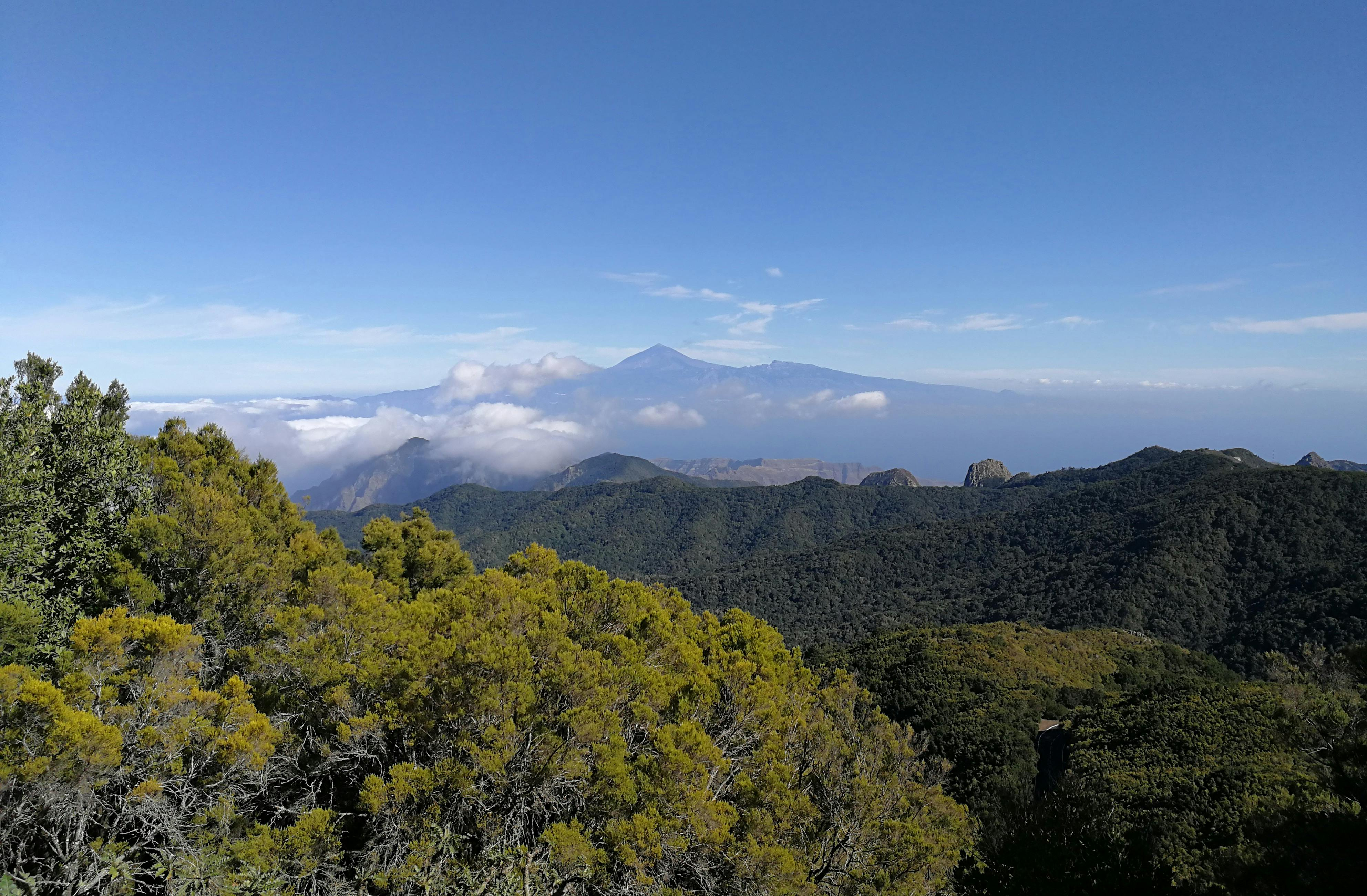 La Gomera Day Trip From Tenerife - Photo 1 of 6