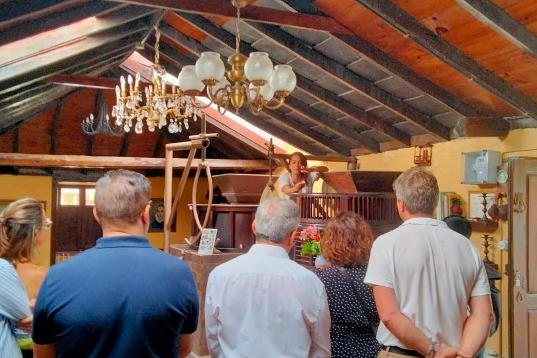 La Orotava: Guided Tour with Gofio Tasting - Photo 1 of 5