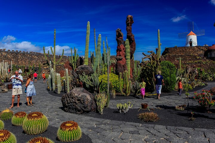 Lanzarote Tour: Lagomar Museum, Cactus Garden & La Graciosa in Lanzarote |  Pelago