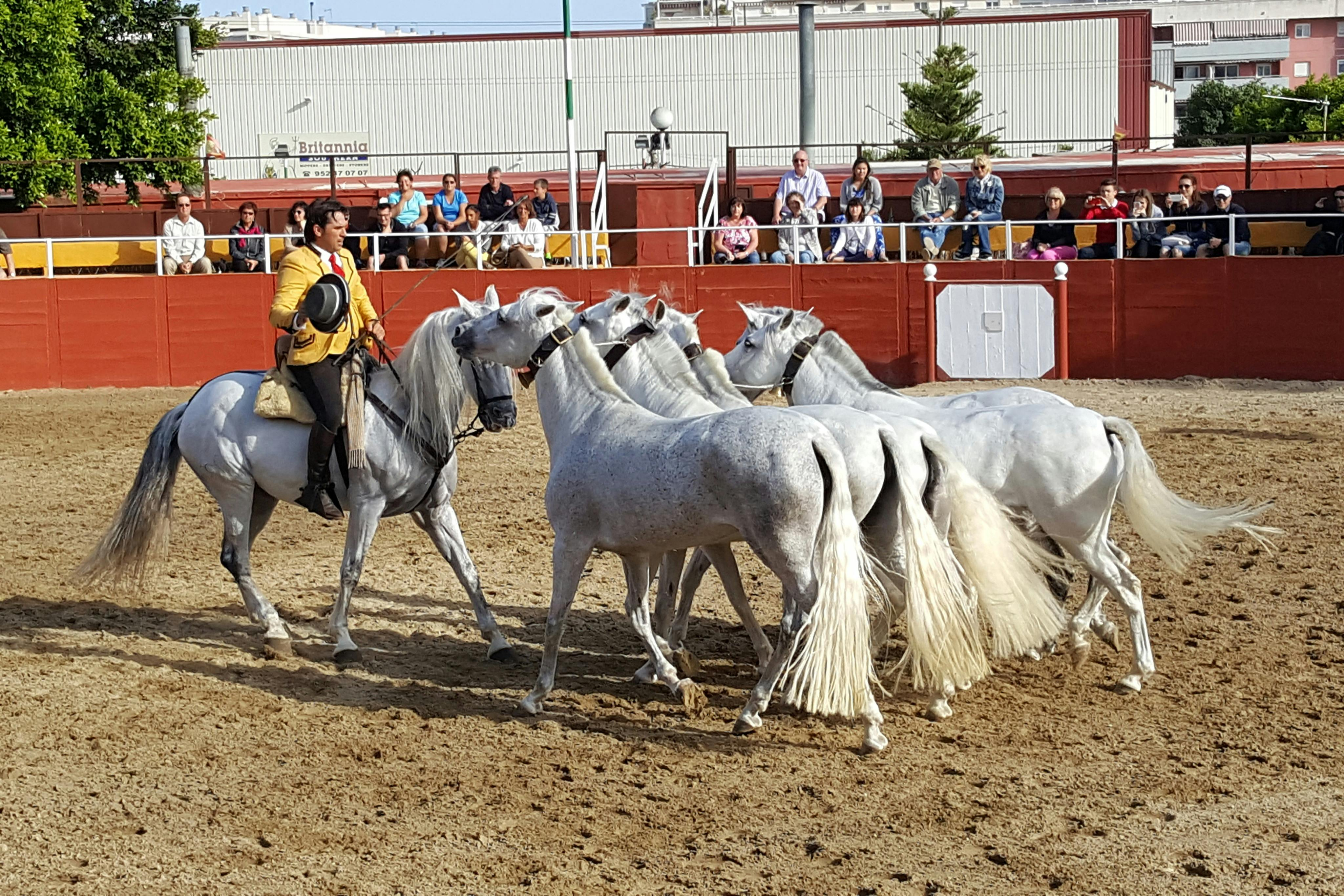Finca El Cartujano: Equestrian Show + Roundtrip Bus Transfer - Photo 1 of 8