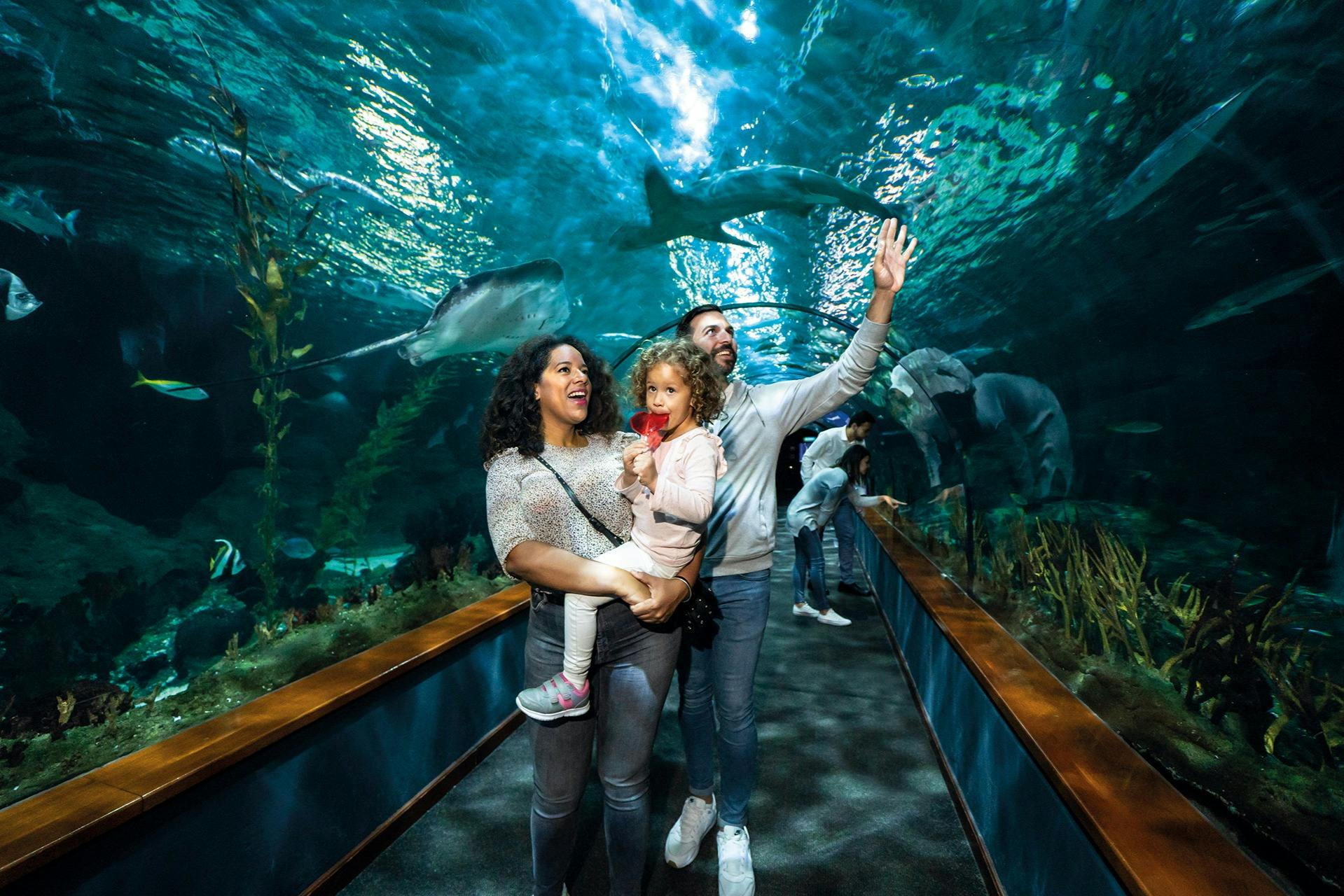 Loro Parque: Entry Ticket + Lunch - Photo 1 of 8