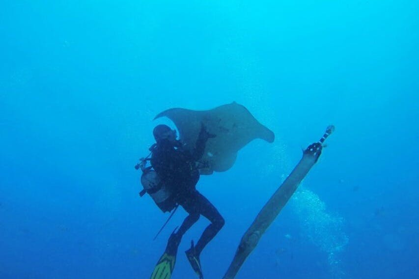 Los Cristianos: Guided Diving Class - Photo 1 of 4