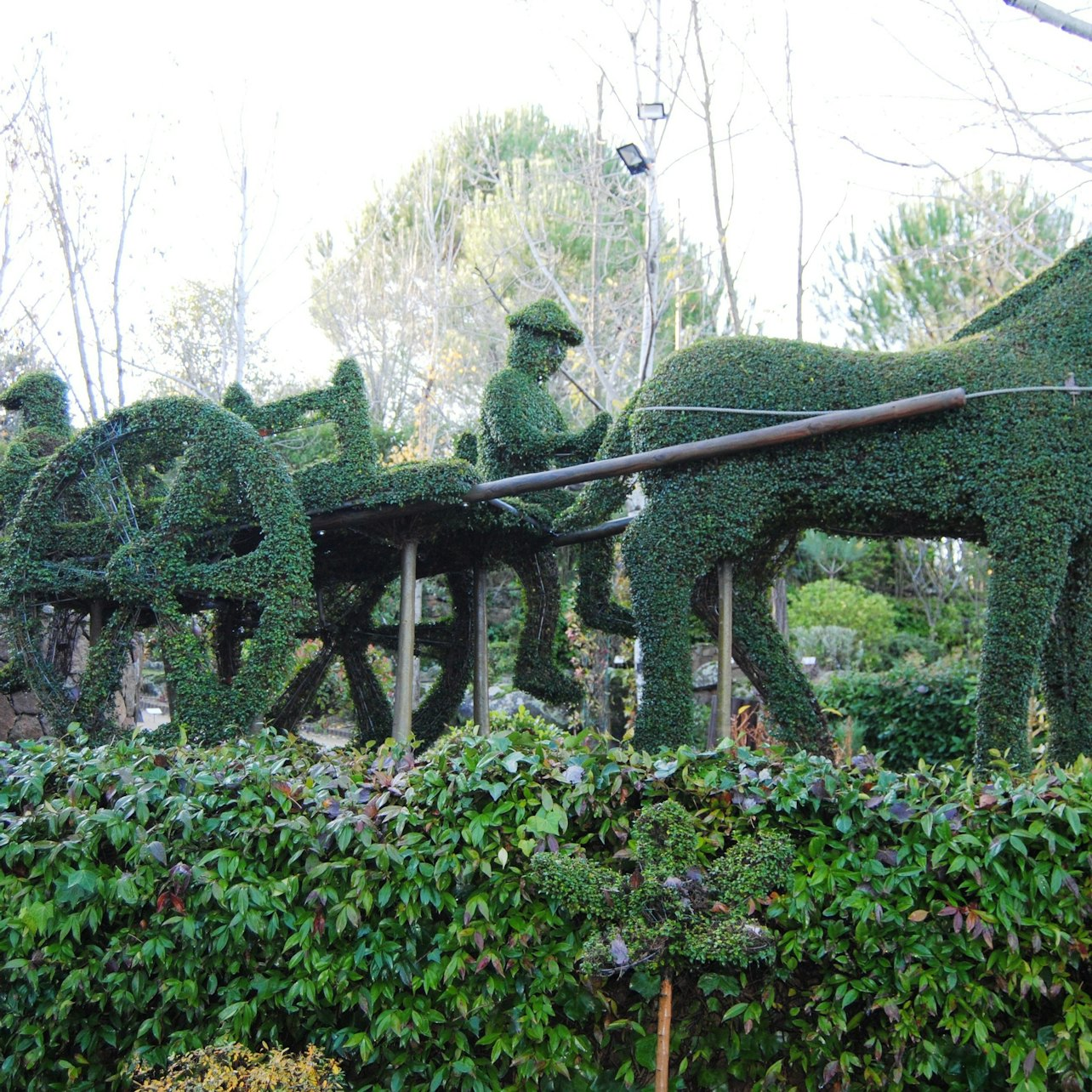 El Bosque Encantado: Entry Ticket - Photo 1 of 4