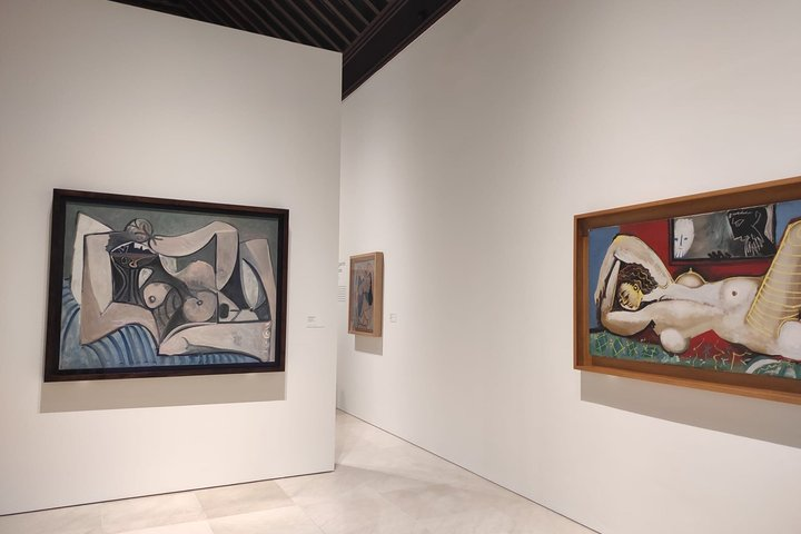 Guided tour without queues Picasso Museum Málaga + Picasso Birthplace - Photo 1 of 11